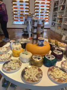 картинка галереї