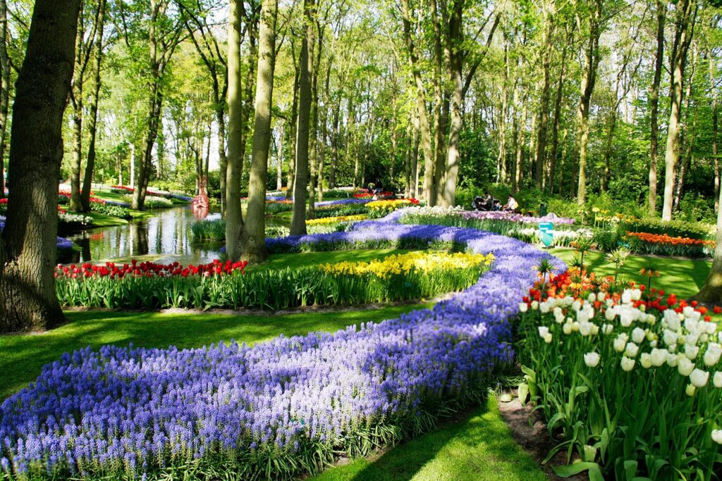 клумби в парку Кекенхоф