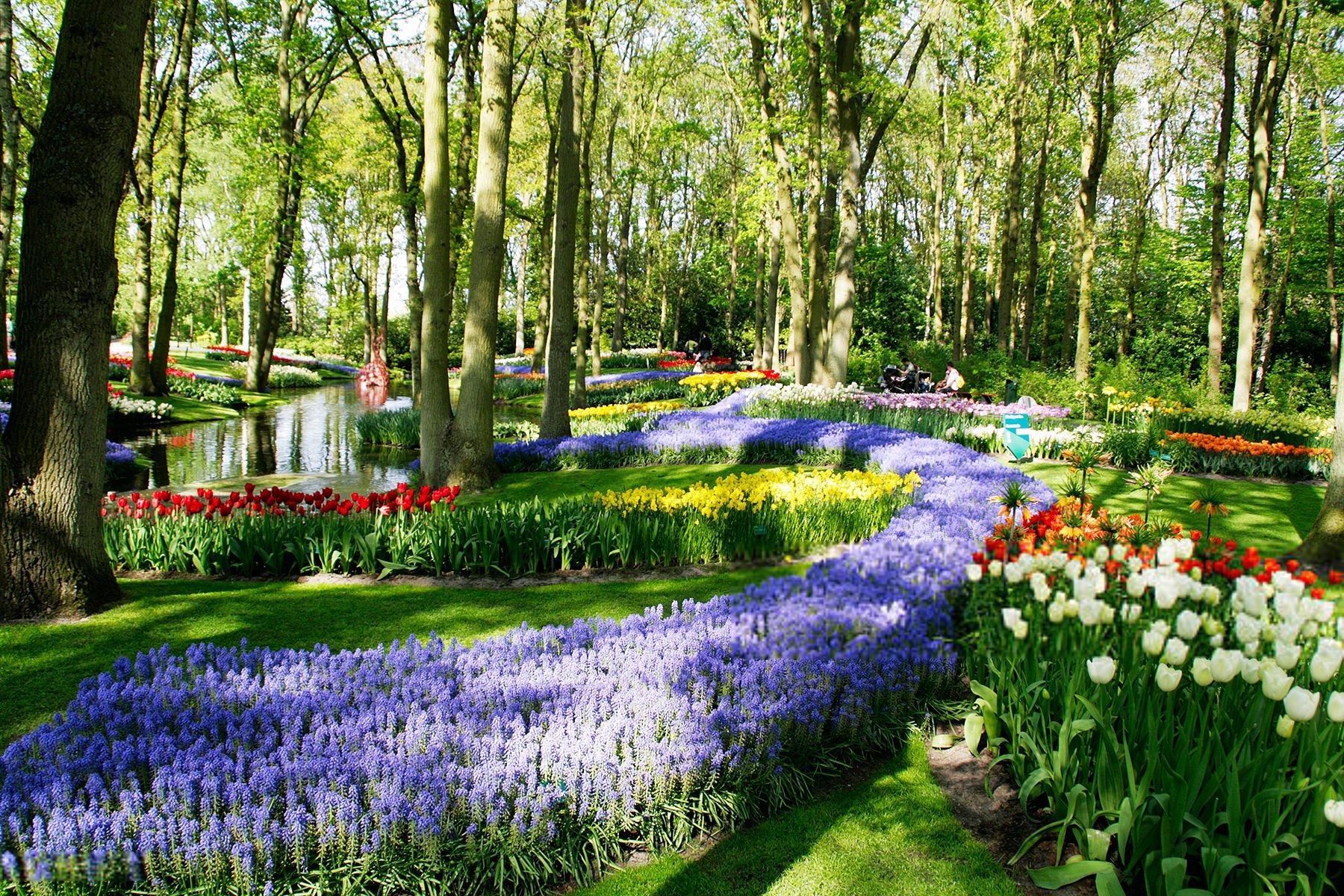 Парк Кекенхоф 2026 Голландия