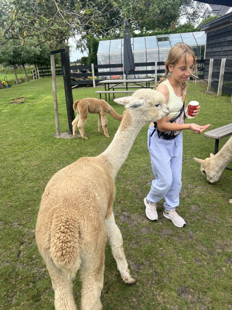 картинка галереї