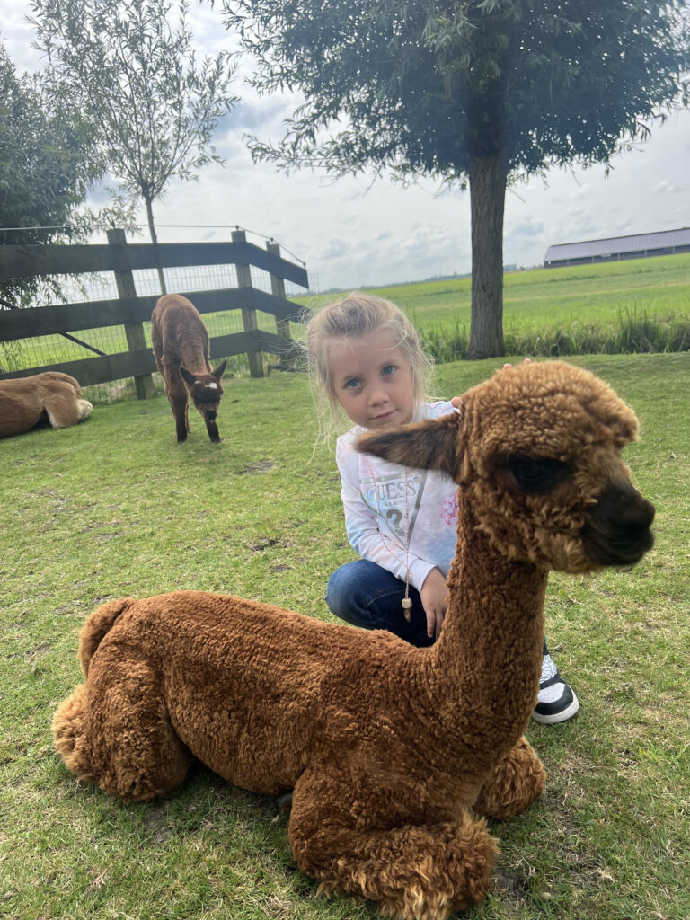 картинка галереї