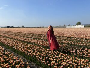 картинка галереї