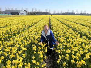 картинка галереї