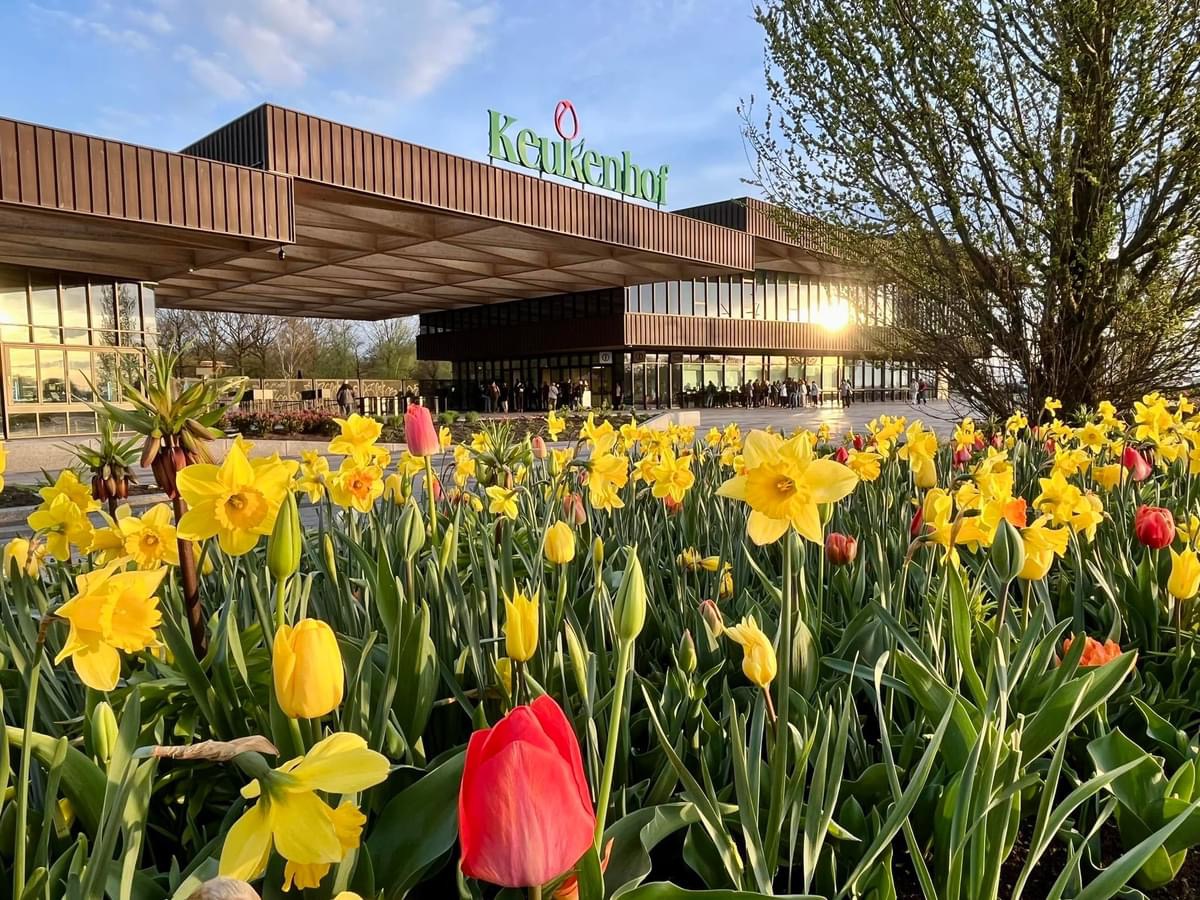 Зображення з галереї