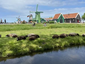 картинка галереї