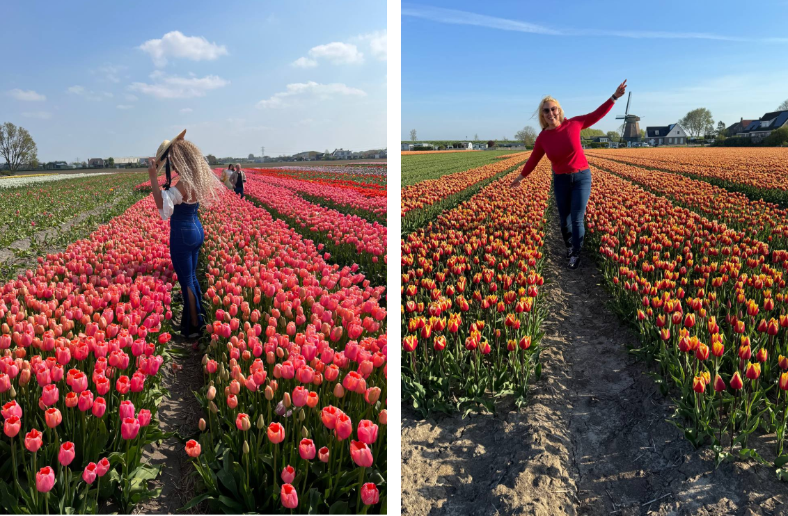 Зображення з галереї