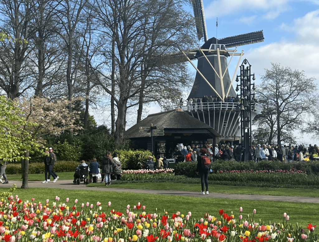 млин в парку Кекенхоф