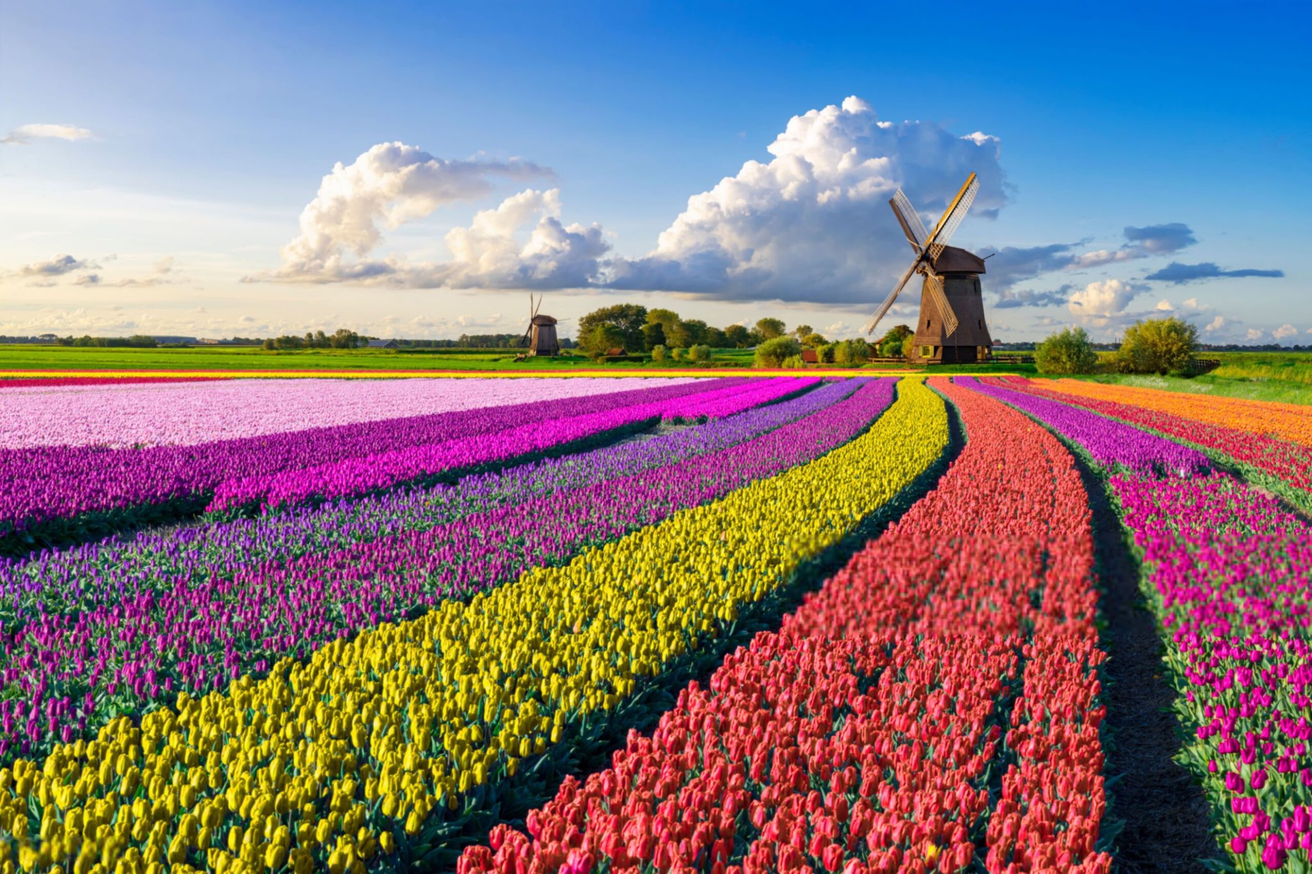 Зображення з галереї